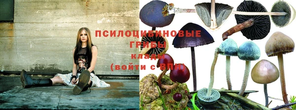 МДПВ Богородск